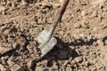 Scoop shovel smeared in concrete in a pile of sand for making concrete Royalty Free Stock Photo