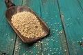 Scoop of steel cut oats Royalty Free Stock Photo