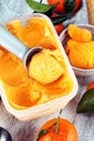 Scoop of tangarine orange ice cream. delicious icecream set Royalty Free Stock Photo