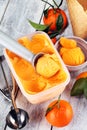 Scoop of tangarine orange ice cream. delicious icecream set Royalty Free Stock Photo