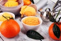 Scoop of tangarine orange ice cream. delicious icecream set Royalty Free Stock Photo