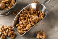 Scoop with tasty walnuts on grey table Royalty Free Stock Photo