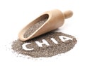 Scoop and word CHIA written in pile of seeds