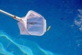 Scooping leaves out of swimming pool. Royalty Free Stock Photo