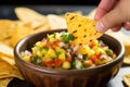 scooping up a grilled pineapple salsa using a crisp tortilla chip Royalty Free Stock Photo