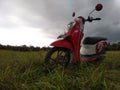 this is a scoopy motorbike in Indonesia