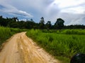 Scooter dirt road street trip drive doi pui reservoir hill mountain forest rain village chiang mai north thailand