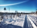 Scooter track in a Lapland winter landscape