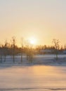 Beautiful winter day at RÃÂ¥neÃÂ¤lven Royalty Free Stock Photo