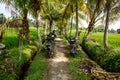 Scooters on a path. Balinese background