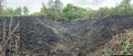 scorched earth after fire Royalty Free Stock Photo