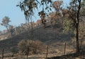 Aftermath of the wildfire near Lake Berryessa