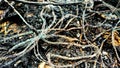 The scorched internet lan cable leaves a wire