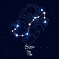 Scorpio, constellation and zodiac sign on the background of the cosmic universe. Blue and white design. Illustration vector Royalty Free Stock Photo