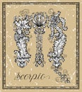 Scorpio or Scorpion Zodiac sign on frame on texture Royalty Free Stock Photo