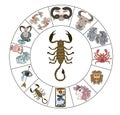 Scorpio on circle vector of Astrology design.scorpion illustration for doodle art.