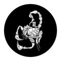 Scorpio zodiac sign, horoscope symbol, vector illustration Royalty Free Stock Photo