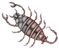 Scorpio. Zodiac sign, symbol in watercolor style. Part of a set ot 12