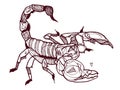 Scorpion abstract isolated on a white backgrounds, illustration