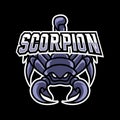 Scorpion black claw mascot sport esport logo template