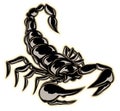 Scorpion Royalty Free Stock Photo