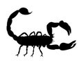 Scorpion black and white silhouette