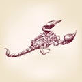 Scorpion hand drawn vector llustration
