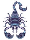 Decorative Scorpion horoscope astrology zodiac sign