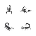 Scorpion icon and symbol vector template