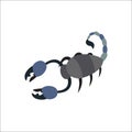 Scorpion insect animal vector illustration. Royalty Free Stock Photo