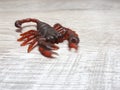 scorpion on a light wooden background Royalty Free Stock Photo