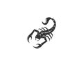 Scorpion logo design vector