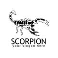 Scorpion logo stock logo template, flat design. Black Scorpion logo