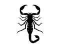 Scorpion Logo Template Vetor illustration Royalty Free Stock Photo