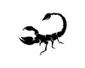 Scorpion Logo Template Vetor illustration Royalty Free Stock Photo