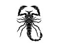 Scorpion Logo Template Vetor illustration Royalty Free Stock Photo