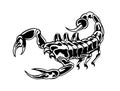 Scorpion Royalty Free Stock Photo