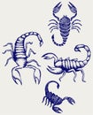 Scorpion Pandinus imperator