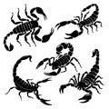 Scorpion set. A collection of black and white stylized scorpions. Vector illustration of poisonous insects. Tattoo. Royalty Free Stock Photo