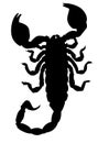 Scorpion silhouette Royalty Free Stock Photo