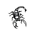 scorpion tattoo design. Vector illustration decorative design
