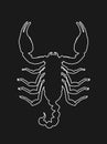 Scorpion vector line contour silhouette illustration isolated on black background.