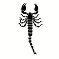 Scorpion vector illustrations for various designs,