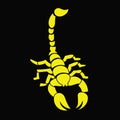Scorpion vector illustrations for various designs