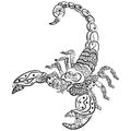 Scorpion zentangle stylized, vector, illustration, freehand pencil, hand drawn, pattern.