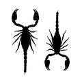 Scorpions, black silhouette for your design