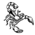 scorpions drawing logo vector illustration 02