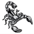 scorpions drawing logo vector illustration 01