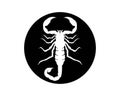 Scorpion Logo Template Vetor illustration Royalty Free Stock Photo