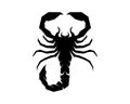 Scorpion Logo Template Vetor illustration Royalty Free Stock Photo